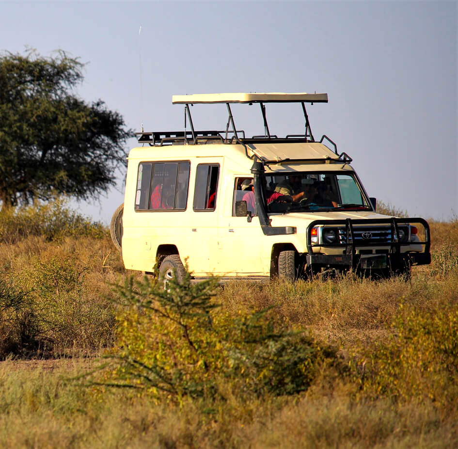 game-drive-uganda (1)